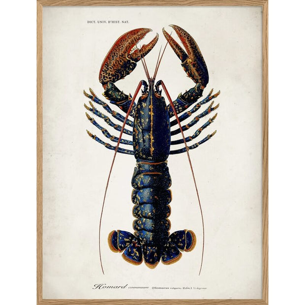 Affiche et Cadre Homard A3 - The Dybdahl Co