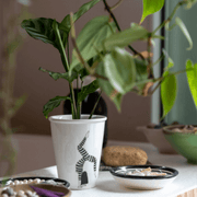 tasse-helen-b-decoration