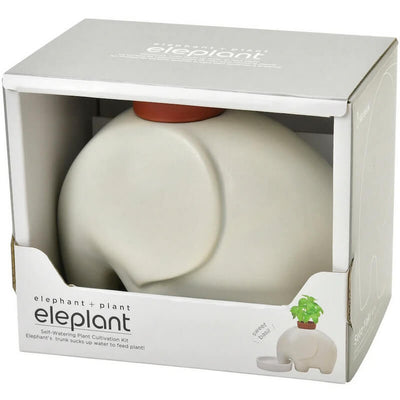 Eleplant Plante à Faire Pousser Blanc - Noted