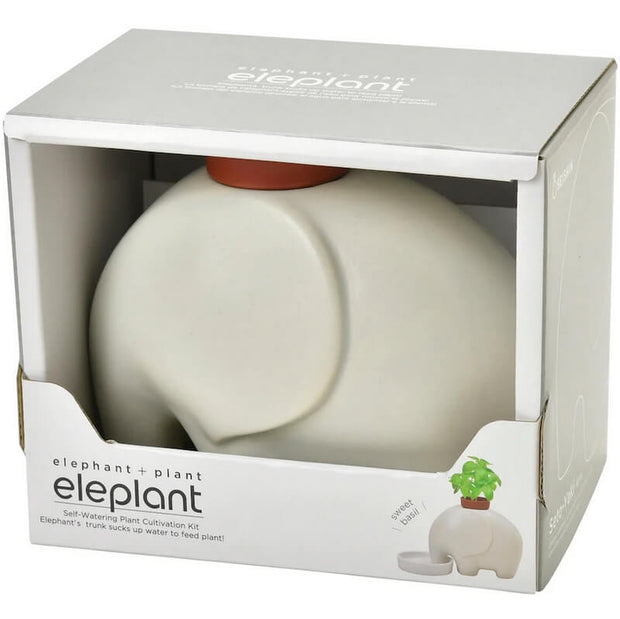 Eleplant Plante à Faire Pousser Blanc - Noted