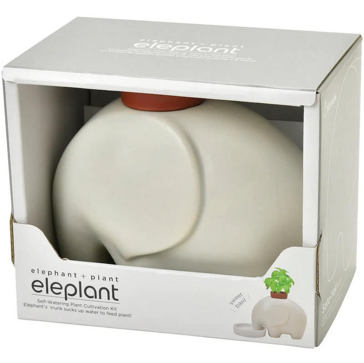 Eleplant Plante à Faire Pousser Blanc - Noted