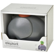 Eléphant Plante a Faire Pousser Gris - Noted