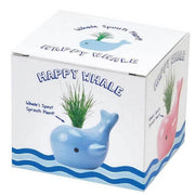 Plante Baleine "Happy Whale" Bleu - Noted