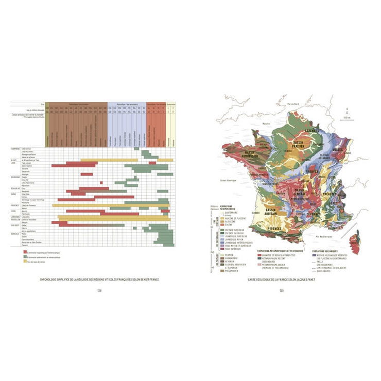 Mille Vignes - Hachette