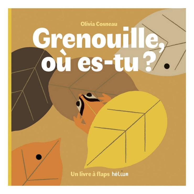 Livre enfant " Grenouille, où es-tu ? " - Helium