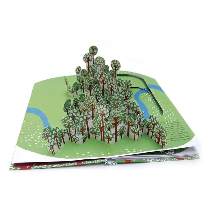 Livre enfant " Dans la Foret du Paresseux " - Helium