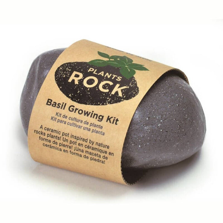 Basilic à faire pousser Plant Rock gris foncé - Noted