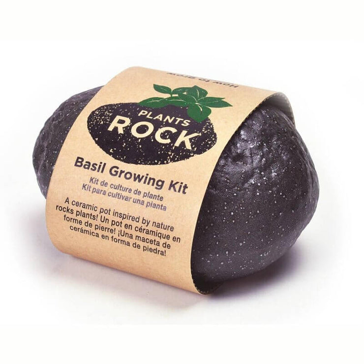 Basilic à faire pousser Plant Rock noir - Noted