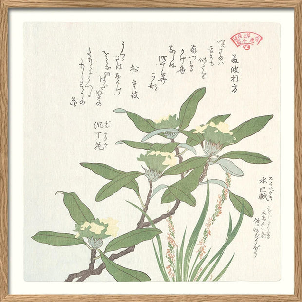 Affiche Plante Verte - The Dybdahl Co