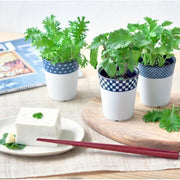 Herbes Japonaises Yakumi Wasabina - Noted