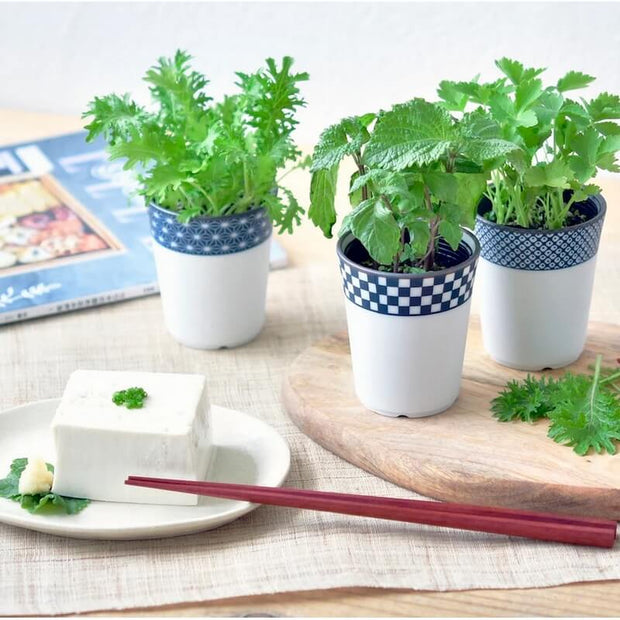 Herbes Japonaises Yakumi Wasabina - Noted