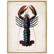 the-dybdahl-affiche-50-par-60-homard