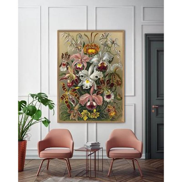 the-dybdahl-affiche-A1-cypriedum-fleurs-ambiance